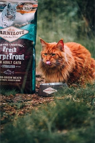 Carnilove Carnilove Fre Carp & Trout Sterilise Trockenfutter für Katzen, 2 kg, Packung mit 23 x 86,96 g, insgesamt 2000 g