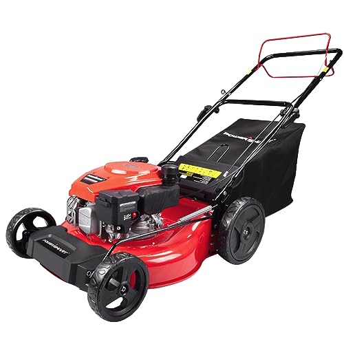 Top 10 Best Electric Start Gas Mowers Reviews & Buying Guide Katynel
