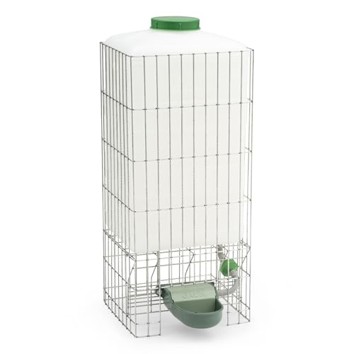 Agrarzone Abreuvoir Automatique pour Poules avec réservoir de 30 litres - idéal pour Les poulaillers sans Conduite d'eau - Alimentation Automatique en Eau fraîche - Distributeur d'eau pour Poules