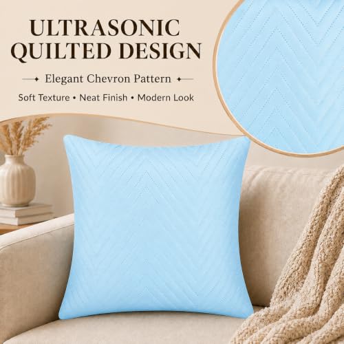 Image of RD TREND UltraSonic Microfiber Cushion Covers, 60 x 60 cm /24 x 24 inches, Set of 5, 250 TC,Back Zipper (Sky Blue)