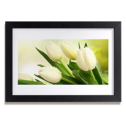 Affiche murale tulipes avec cadre de salon chambre cuisine photo 30x20