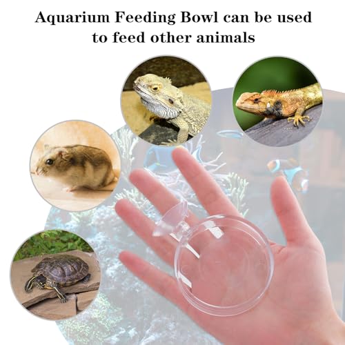 2 stuks aquariumvoerbakken, acryl voederschaal voor garnalen, aquarium, decoratie, 6,5 cm, voederkom aquaria, met zuignap voor garnalen en vissen - Afbeelding 5