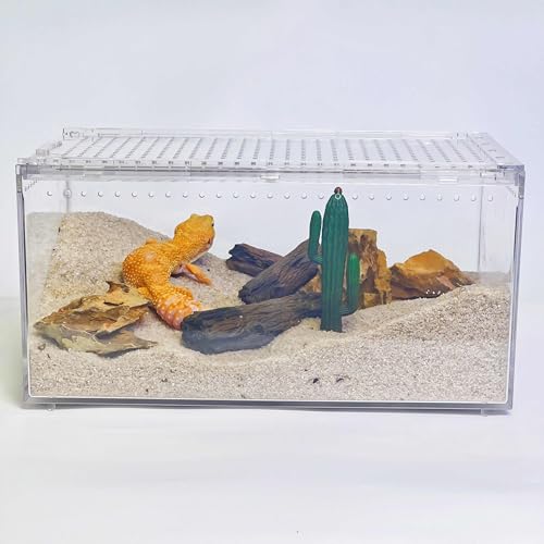 STELPAW PC Reptile Terrarium, Leopard Gecko Tank, Jumping Spider Enclosure,