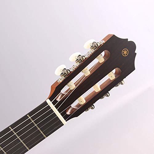 Image of Yamaha CGX122MSC Classical Acoustic-Electric Guitar, Solid Spruce Top