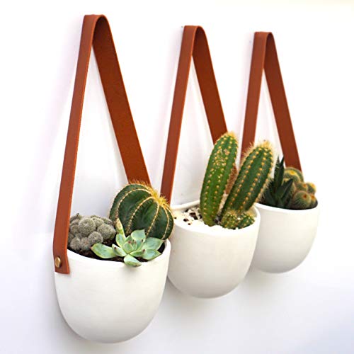 Kimisty Set 3 Hanging Succulent Wall Planters Pot | White Ceramic Planter with Faux Leather Strap | Decor as Cactus, Succulents, Baby Plants, Flower Pots, Vase, Container | Window & Herb Planter with