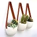 Kimisty Set 3 Hanging Succulent Wall Planters Pot | White Ceramic Planter with Faux Leather Strap | Decor as Cactus, Succulents, Baby Plants, Flower Pots, Vase, Container | Window & Herb Planter with