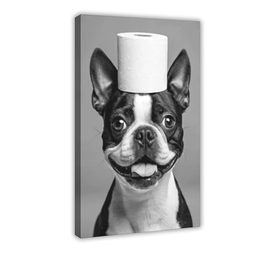 Affiche Boston Terrier 50x75 cm toile décoration murale pour bureau et chambre