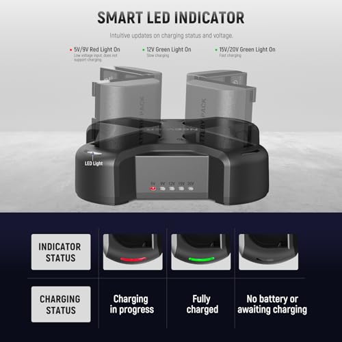 Image of NEEWER LP-E6 /LP-E6N /LP-E6NH /LP-E6P Four Channel Battery Charger with PD 45W Fast Charging, USB C Cable, Quad USB Charger Compatible with Canon EOS R5 Mark II 6D MarkII 5D MarkIII 5D Mark IV, NW-P4