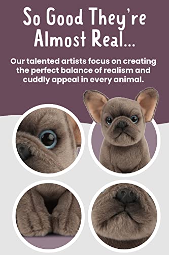 Living Nature French Bulldog Puppy, Realistic Soft Cuddly Dog Toy, Naturli Eco-Friendly Plush, 16Cm #TOP2