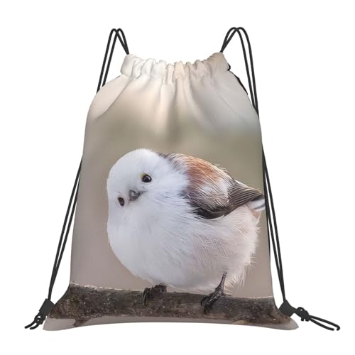 [Raysent] �i�b�v�T�b�N �V�}�G�i�K �� �k�C�� ��̗d�� �v�[���o�b�O ���j�o�b�O ��e�� �y�� ������� ���[�֗� ���j ���� �^�� ���� ���s �j�����p