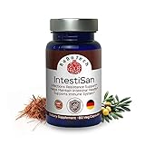 RaDoTech - IntestiSan, Olive Leaf Extract with PAU D’Arco, Immune Support Supplement for Intestinal Health and Resilience, Natural Immune Support Formula for Total Wellness, GMP (60 Count (Pack of 1))