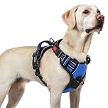 rabbitgoo Dog Harnesses for Large Dogs, No Pull Pet Harness with 3 Buckles, Adjustable Soft Padded Vest with Instant Control Handle, Easy Walking Reflective Pet Vest, Blue, L