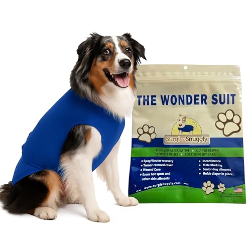How long is a female dog in pain after spaying