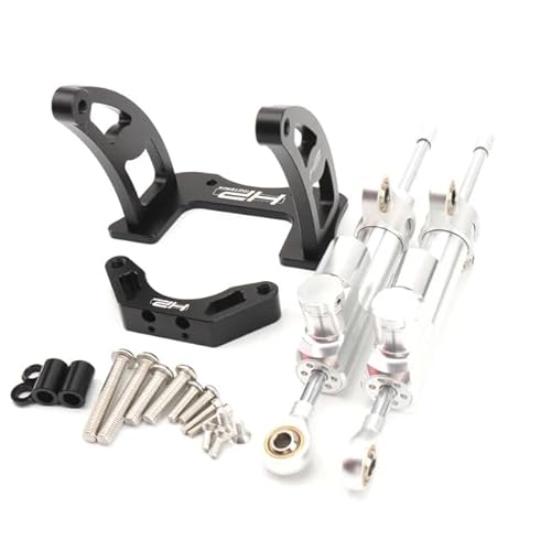 Un kit d'amortisseurs de support stabilisé bidirectionnel de 2 pièces est disponible pour Dualtron Achilleus Victor Thunder1/2 II COMPACT DT3 (H.Argent)