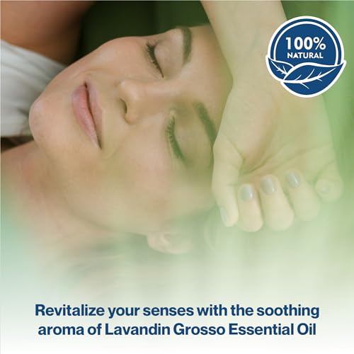 Aceite Esencial Orgánico Lavandin Grosso 2 Fl Oz miniatura 2