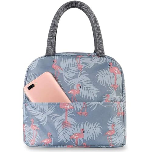 Image of AOXITO Polyester Large Insulated Lunch Bag for Office Men, Women, Kids School, Travel Tiffin Bag Pouch, Hot & Cold Lunch Box Bags for Boys, and Girls (Pink), 10 Liters
