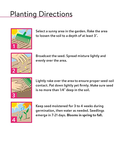 Burpee Wildflower Mix Monarch Sanctuary Seeds | 50,000 Non-Gmo Seeds, 3 Types Of Butterfly Weed Plus Cornflower, Lupine, Echinacea, And More | Pollinator Garden Attracts Monarch Butterflies #TOP4