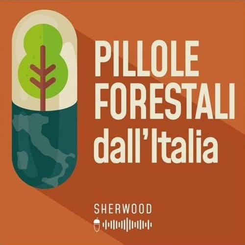 Pillole forestali dall&rsquo;Italia #63 - Lungimiranza forestale e altre notizie di gennaio