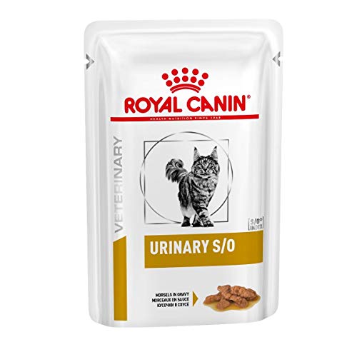 ROYAL CANIN Urinary Cat Food Pouches