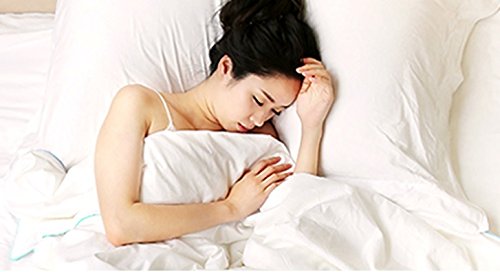 Silk Camel Luxury Comforter Fillled With 100% Natural Long Strand Mulberry Silk For Fall/Autumn Season - Twin Size #TOP7