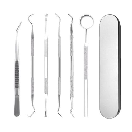 Dreamil 6PCS Zahnreinigungs set Zahnreinigung Zahnarztbesteck Edelstahl Zahnarztbesteck Zahnarztspiegel Mundspiegel Zahnpinzette Zahnsonde Zahnstein Selbst Entfernen