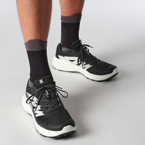 Chaussures de Trail Salomon Alphaglide Homme Phantom - vue 5