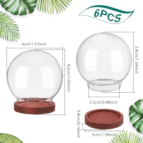 NBEADS 6 Pcs Mini Round Glass Dome - Image 2