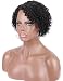 Kalyss 100% Human Hair Afro Short Jerry Curly Wavy Off Black Wigs for Black Women Hand Tied Lace Side L Parting Bouncy Curls Natural Looking Wigs (1B)