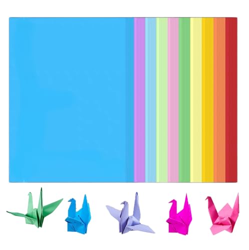 aninako コピー用紙 カラーコピー 画用紙 100枚入（10色×10枚）厚紙 A4（210㎜×297㎜）/縦型 両面 インクジェット レーザー カラーペーパー コピー用紙 プリンタ用紙 工作 色画用紙 (100枚入（10色）)