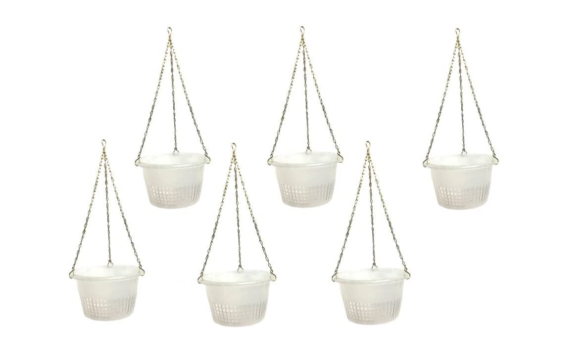 Orchid pots 8 inch Hanging with Metal Chain (Clear) - Pack of 6 (B09PH4KCLW) Amazon Price History, Amazon Price Tracker