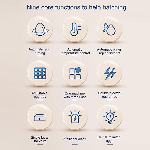 Incubadora de Ovos, 6 Ovos Controle Preciso de Temperatura Máquina de Incubação de Aves Fonte de Ali