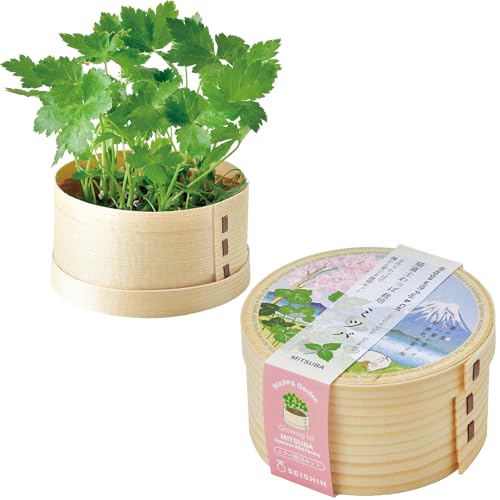 V| ʔN ƒ؉ ͔|Lbg ~co ̌a 5cm ~j ȒP Ă ͔|Zbg (R/H) L xm ̓ v[g a { GD-105001