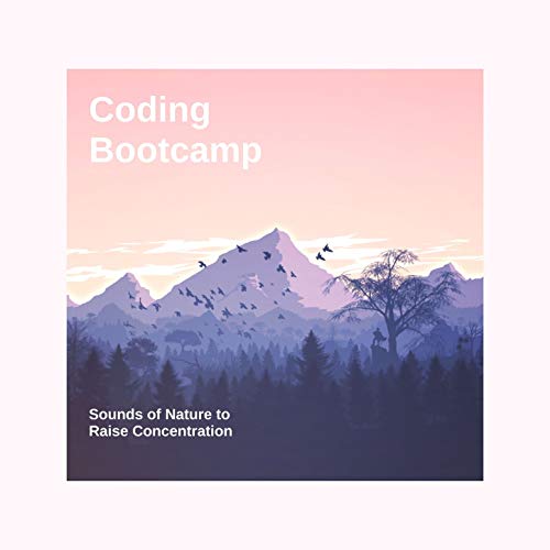 Coding Bootcamp: Spring Break Music with Sounds of Nature to Raise Concentration