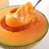 とみたメロンハウス �