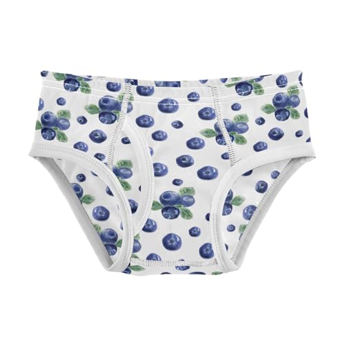 Boys' Exclusive Briefs Toddler Underwear 95% Combed Cotton Boxerbriefs 2T Blueberry Pattern 9