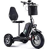MotoTec Electric Trike 48v 900w Lithium