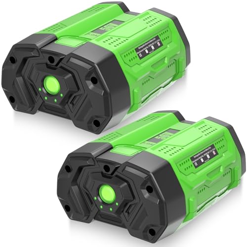 2-Pack 5.0Ah 56 Volt Lithium ion Battery Replacement for EGO Batteries Compatible with EGO 56V Battery BA1400T BA1400 BA2800T BA2800 BA4200T BA4200 BA5600T BA5600 BA2242T BA3360T BA4480T(Green)