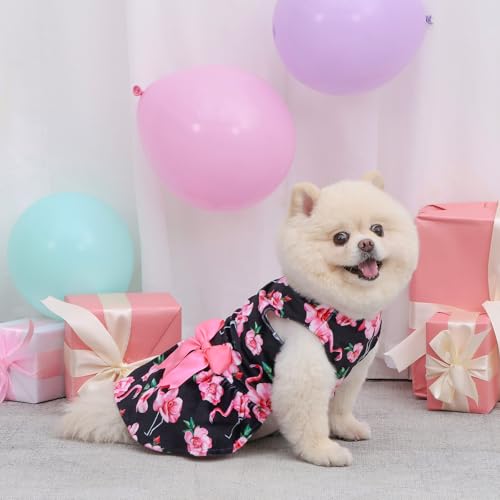 Robe en velours pour petits chiens au tissu doux et confortable
