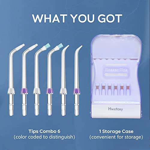 Puntas de repuesto para irrigador dental Waterpik y AquaFlosser con estuche organizador 2
