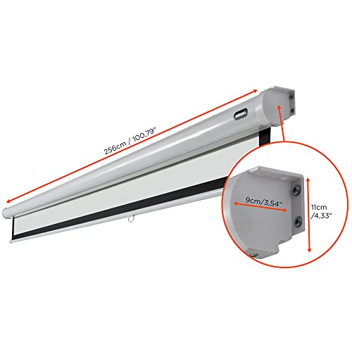 celexon Economy Rollo-Leinwand 135 | 240x240 cm 1:1 | manuell ausziehbare 4K, Full-HD Beamerleinwand f&uuml;r Projektionen im Heimkino & B&uuml;ro | Wand- & Deckenmontage/zum Aufh&auml;ngen