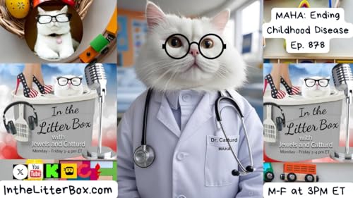 MAHA: Ending Childhood Disease | In the Litter Box w/ Jewels & Catturd – Ep. 878 – 9/10/2025 Podcast Por arte de portada