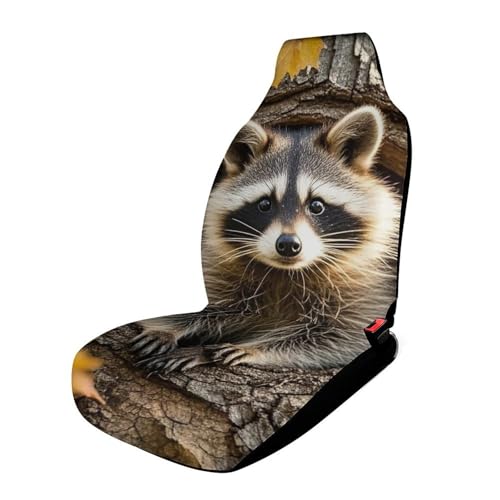 Housse de siège de voiture universelle élastique motif raton laveur pour camion
