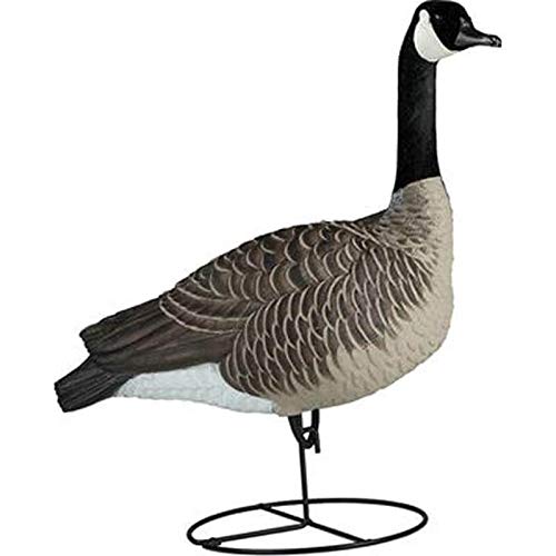 Dakota Decoy 19700 Waterfowl Hunting Signature Series Sentry Geese (6 Pack)