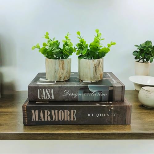 Conjunto Livro Decorativo Fake Luxo Moderno Tendência