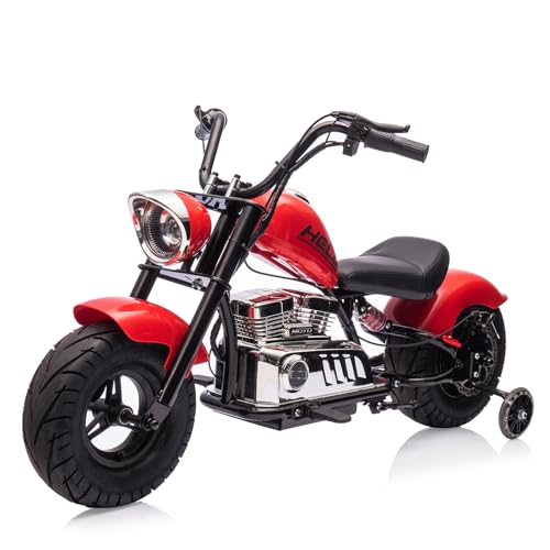 36V Kids Electric Dirt Bike