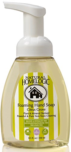 Natural HomeLogic Foaming Hand Soap - 8.5 oz.