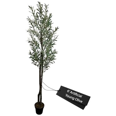 Handmade 6' Artificial Olive Tree - Real Touch Artificial Plant for Home Decor, Office Decor, and Living Room - Tall Plant - Olive Tree - 6 Feet Tall - Green - Cypress & Alabaster Cover