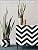 Cohoo Home Black and White Peel and Stick Wallpaper Modern Black and White Stripe Wallpaper Herringbone Contact Paper for Cabinets Self-Adhesive Removable Paper Walls Bedroom Shelf 18inW 118inL