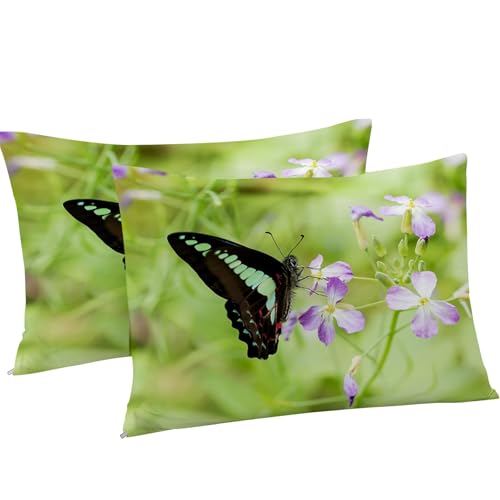 Housse de Couette 160x200 Papillon en Microfibre Douce Premium kK1353