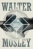 Inside a Silver Box: A Novel